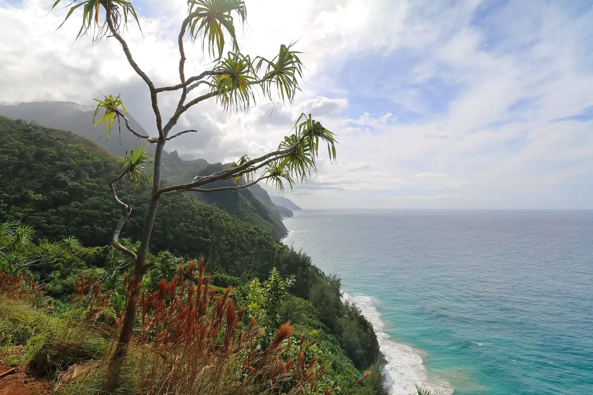View along the coast from the Kalalau Trail