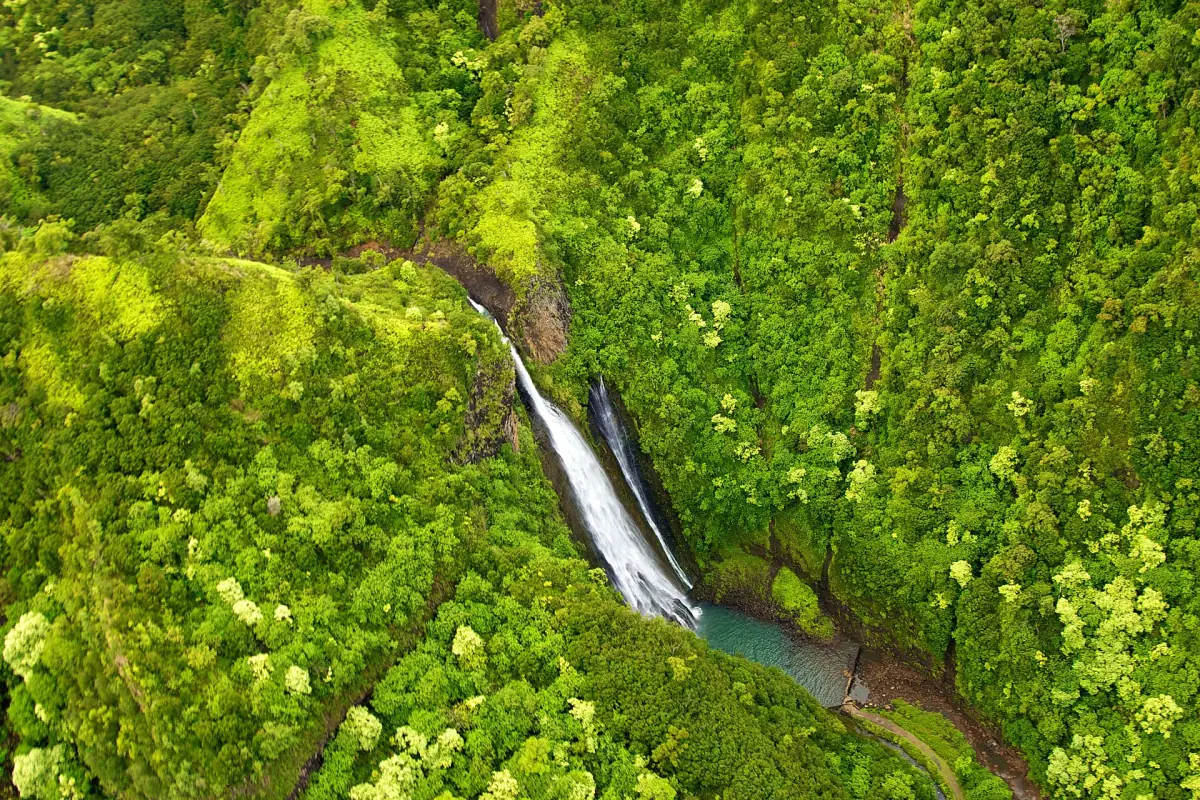 Manawaiopuna Falls in a green valley from the air