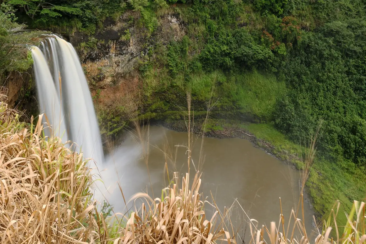 Wailua Falls from the roadside lookout