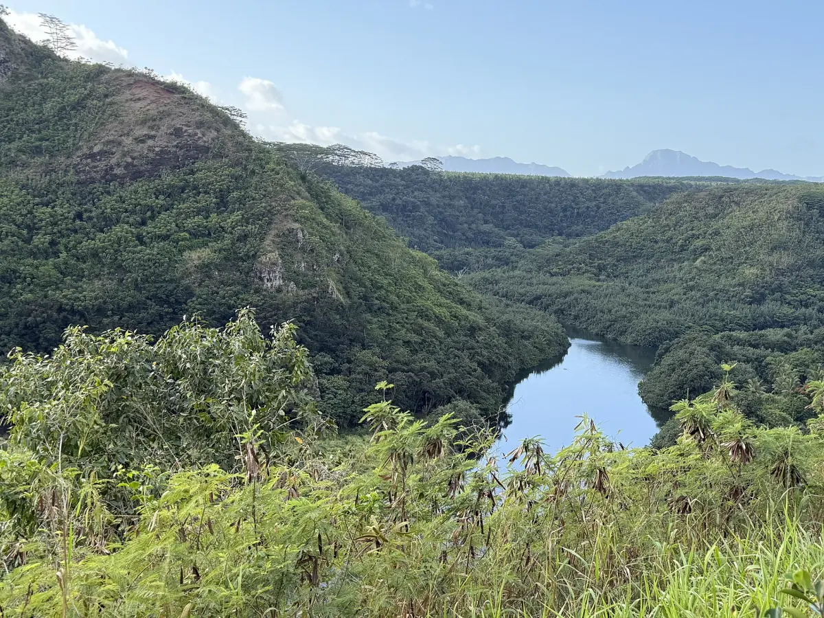 The Wailua River valley in Wailua River State Park