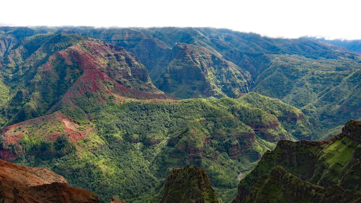 Waimea Canyon from a lookout